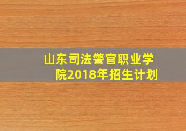 山东司法警官职业学院2018年招生计划