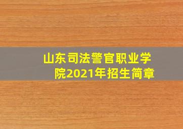 山东司法警官职业学院2021年招生简章