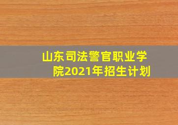 山东司法警官职业学院2021年招生计划