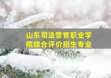 山东司法警官职业学院综合评价招生专业