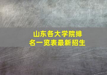 山东各大学院排名一览表最新招生