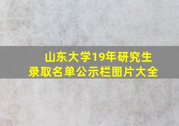 山东大学19年研究生录取名单公示栏图片大全