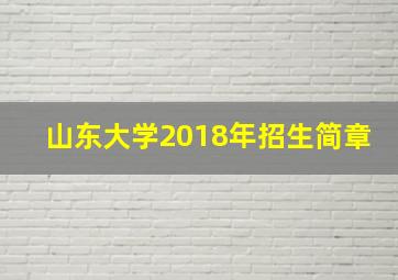 山东大学2018年招生简章