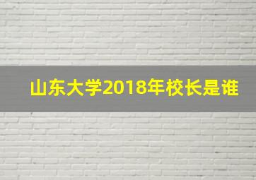 山东大学2018年校长是谁