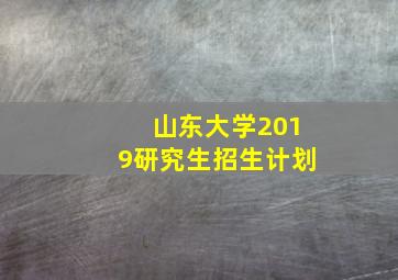 山东大学2019研究生招生计划