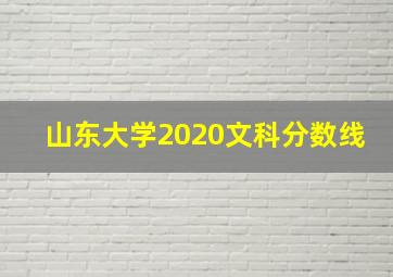 山东大学2020文科分数线