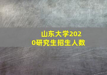 山东大学2020研究生招生人数