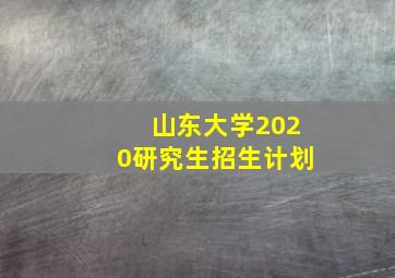 山东大学2020研究生招生计划