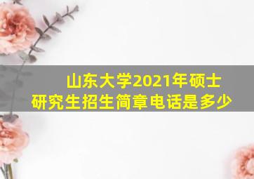 山东大学2021年硕士研究生招生简章电话是多少