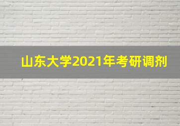 山东大学2021年考研调剂