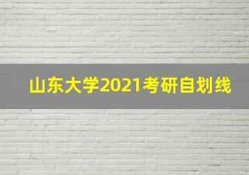 山东大学2021考研自划线