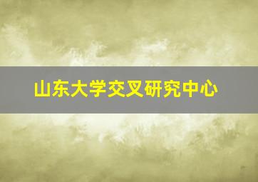 山东大学交叉研究中心