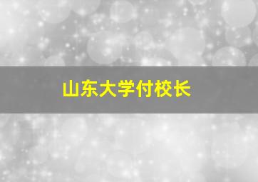 山东大学付校长