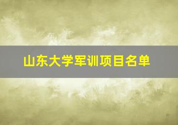 山东大学军训项目名单