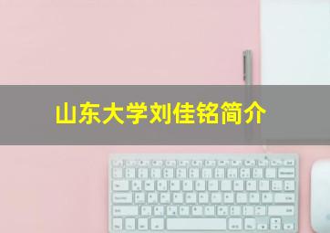 山东大学刘佳铭简介