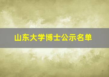 山东大学博士公示名单