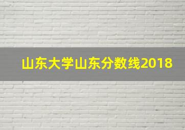 山东大学山东分数线2018