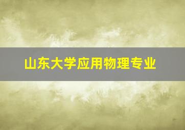 山东大学应用物理专业