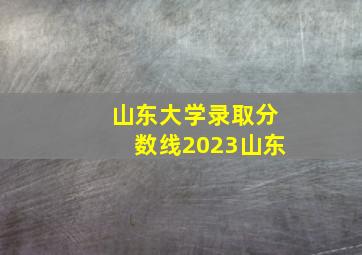 山东大学录取分数线2023山东