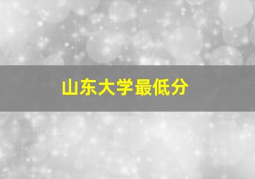 山东大学最低分