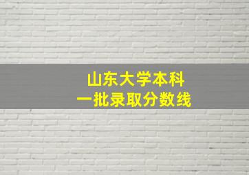 山东大学本科一批录取分数线