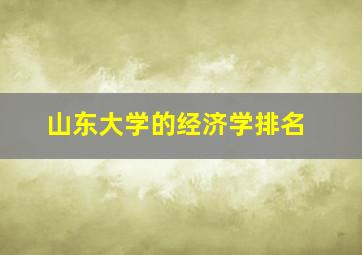 山东大学的经济学排名