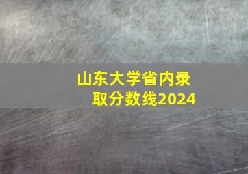 山东大学省内录取分数线2024