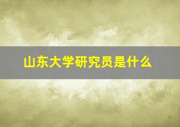 山东大学研究员是什么