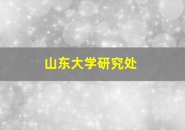 山东大学研究处