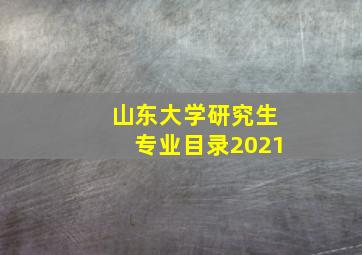 山东大学研究生专业目录2021