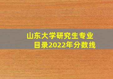 山东大学研究生专业目录2022年分数线