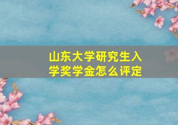 山东大学研究生入学奖学金怎么评定