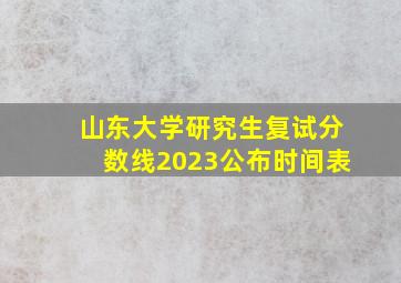 山东大学研究生复试分数线2023公布时间表