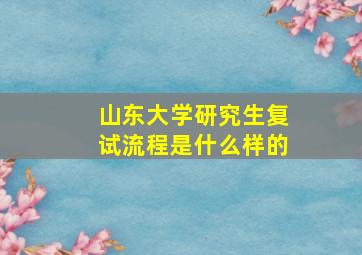 山东大学研究生复试流程是什么样的