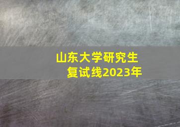 山东大学研究生复试线2023年