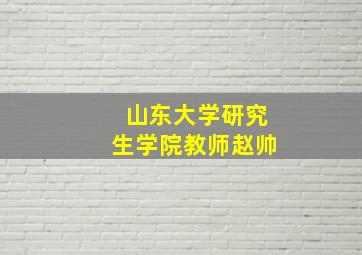 山东大学研究生学院教师赵帅