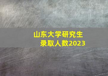 山东大学研究生录取人数2023