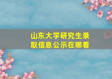 山东大学研究生录取信息公示在哪看