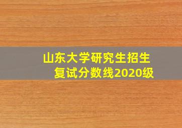 山东大学研究生招生复试分数线2020级