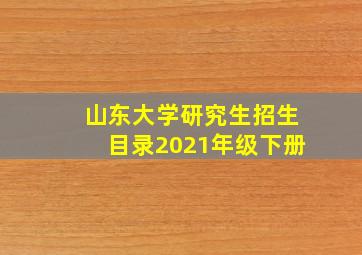 山东大学研究生招生目录2021年级下册