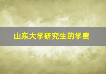 山东大学研究生的学费