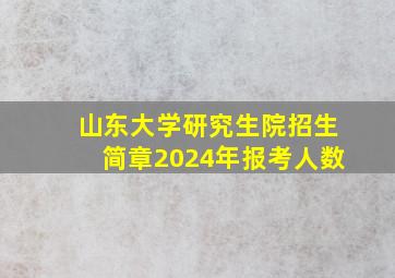 山东大学研究生院招生简章2024年报考人数