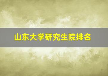 山东大学研究生院排名