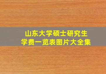 山东大学硕士研究生学费一览表图片大全集