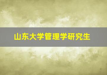 山东大学管理学研究生