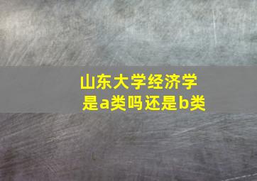 山东大学经济学是a类吗还是b类