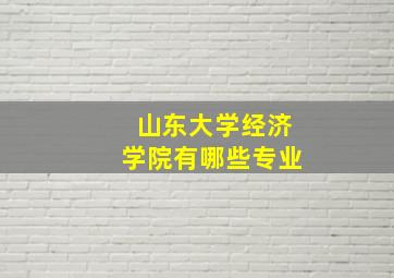 山东大学经济学院有哪些专业