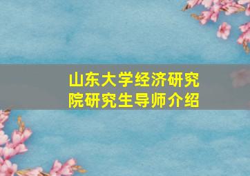 山东大学经济研究院研究生导师介绍