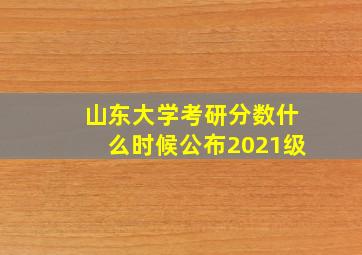 山东大学考研分数什么时候公布2021级