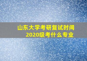 山东大学考研复试时间2020级考什么专业